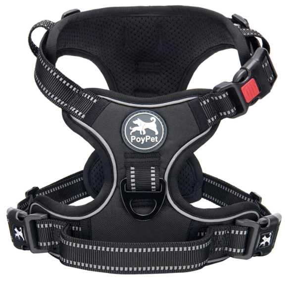 Adjustable Dog Harness