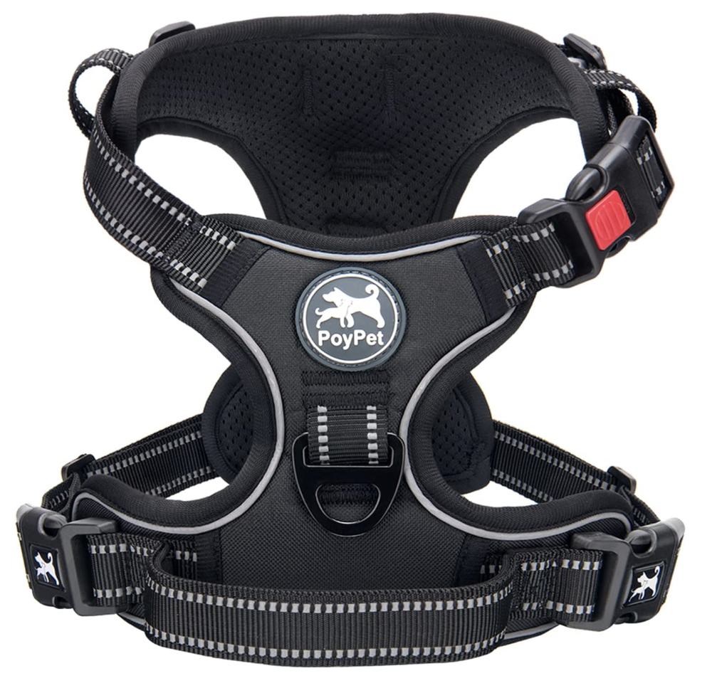 Adjustable Dog Harness