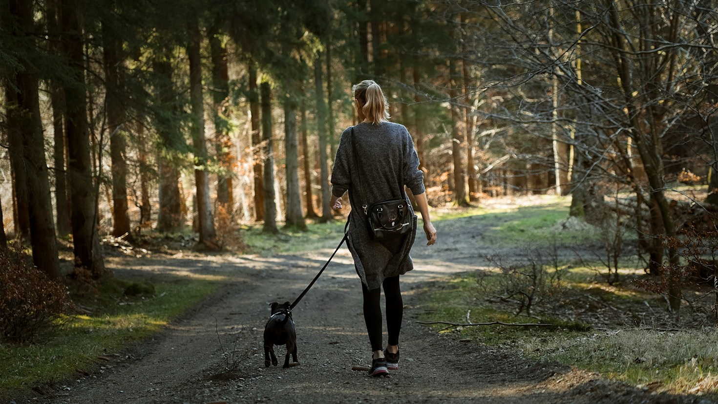 Puppy Visits: A Guide for New Pet Owners