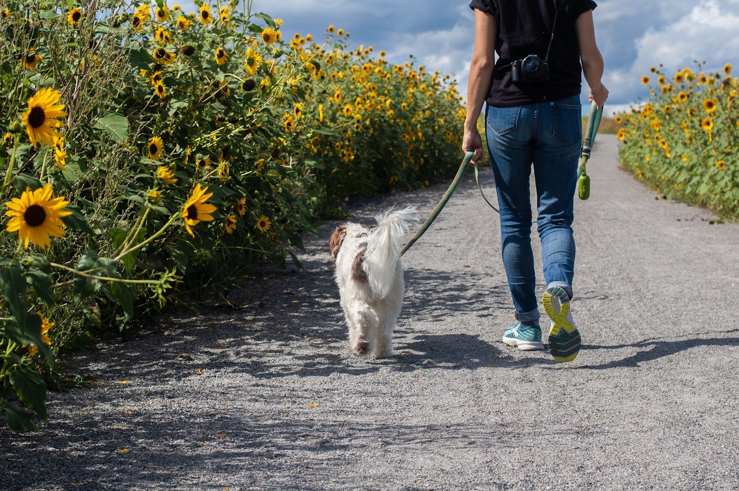 Expanding Our Services: What’s Next for Pet Care?